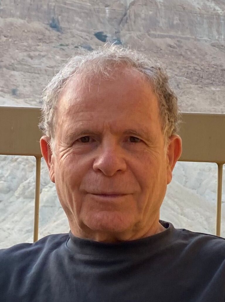 שוקי למברגר